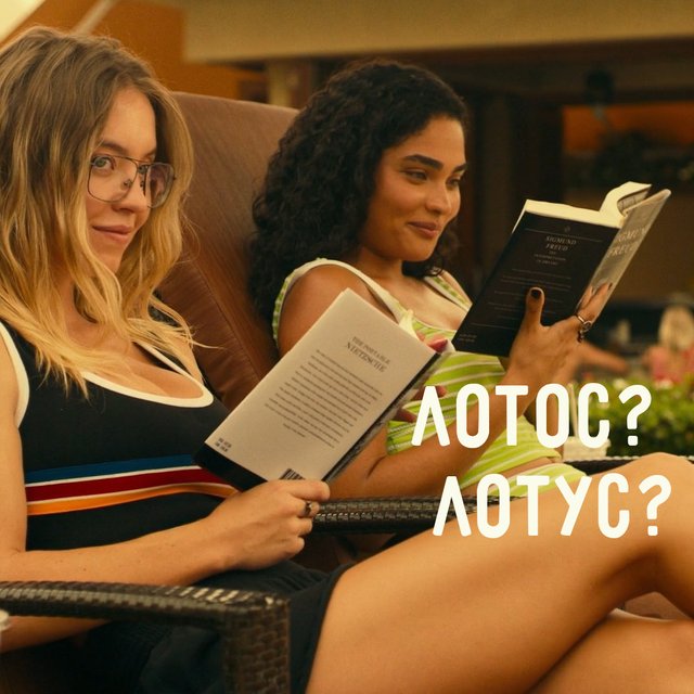 «Белый лотос» или «белый лотус»: как писать правильно и есть ли между этими словами разница