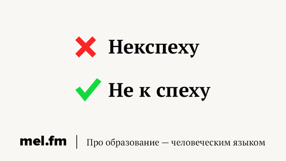 Как правильно: «некспеху» или «не к спеху»