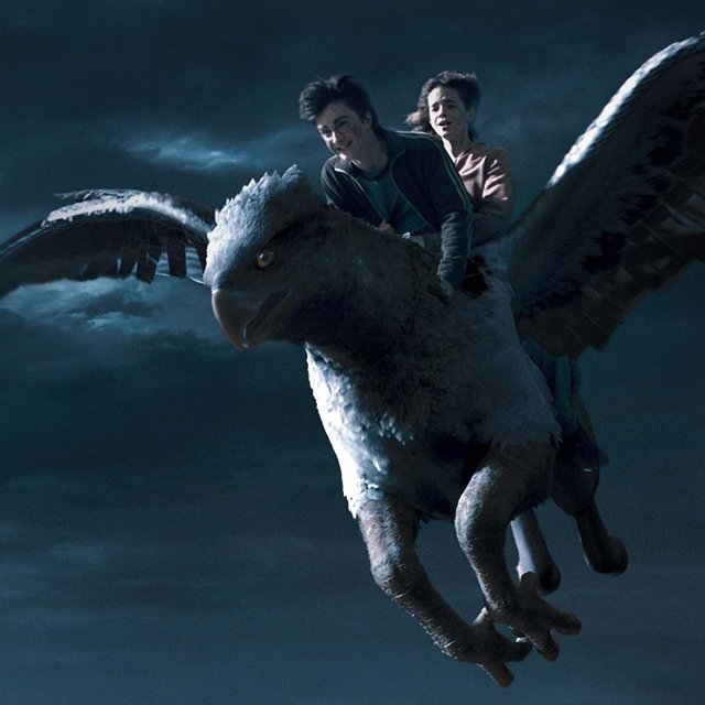 Как Астрид Линдгрен боролась за права детей и какие животные обитают во вселенной Гарри Поттера (тест!)