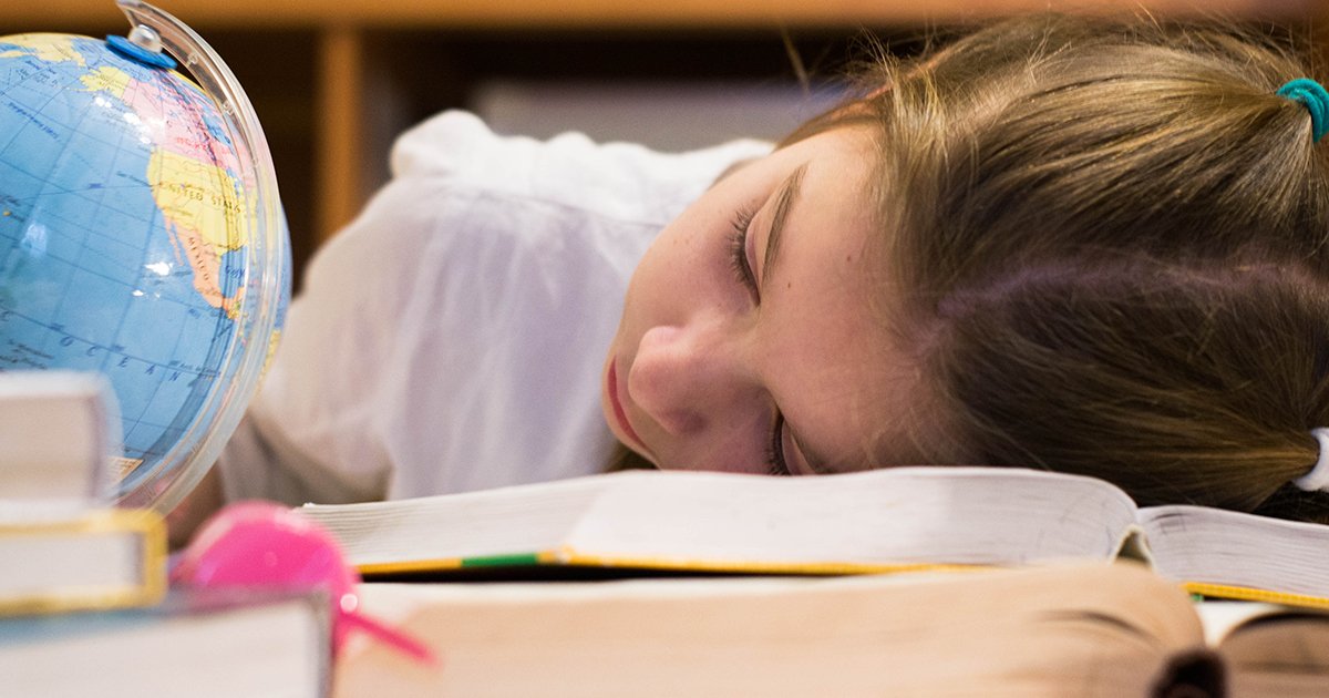 Ребенок отказывается делать домашку: как вести себя родителям? | Мел