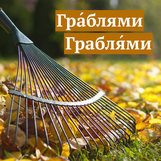 Сгребать листья «гра́блями» или «грабля́ми» — какое ударение правильное