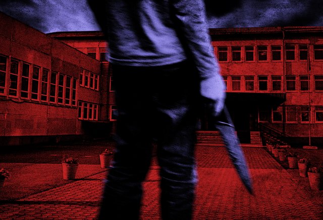 Обложка Волна нападений на школы: почему это делают дети и как взрослые планируют решать проблему