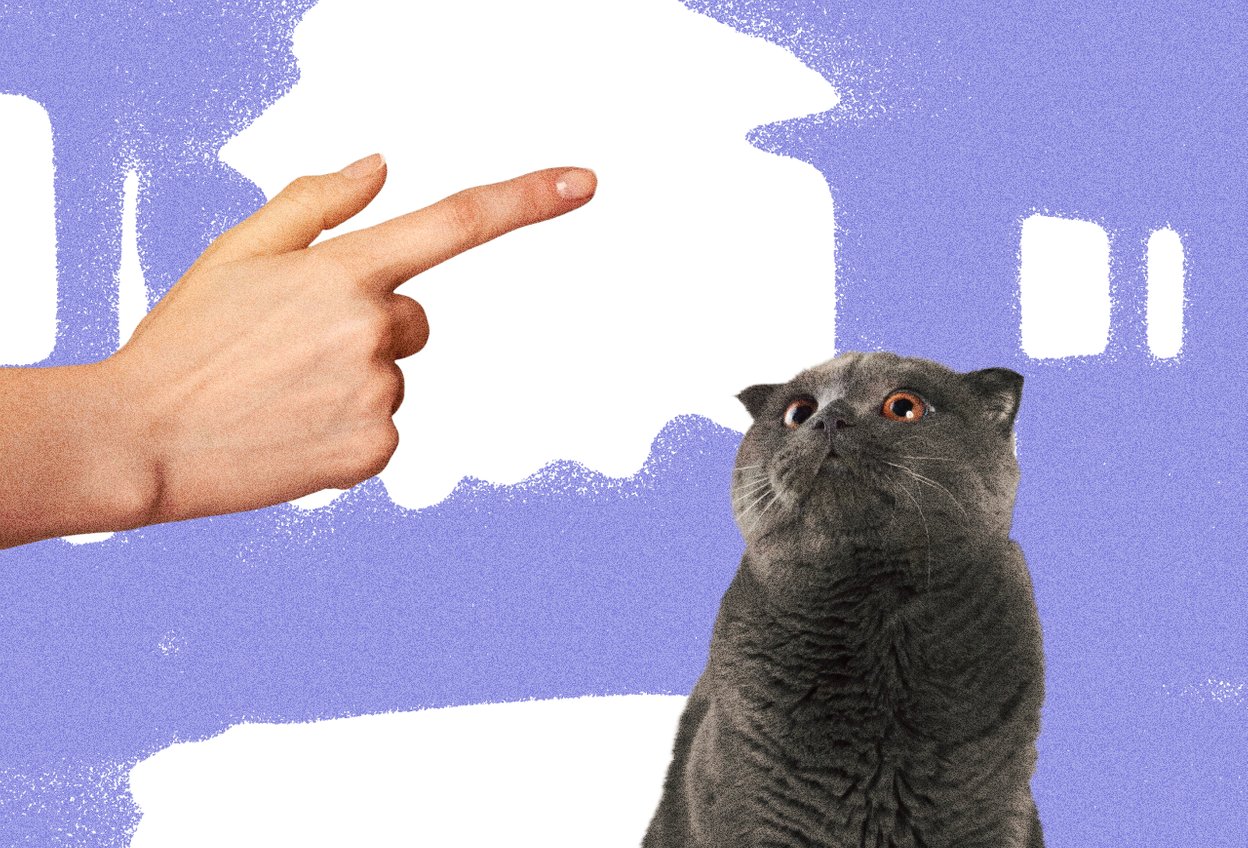 семейная дисциплина дети не слушаются родителей