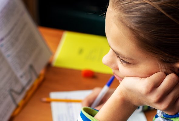 занимается, прилежный, выполняет, изучает, образование, занятие, мысль, студент, кавказец, ребенок, учится, школьник, дома, молодежь, ученик, рутина, школа, ручка, изучает, школьница, тетрадь, подросток, учебник, внеклассный, детство, естественный, русский, домашняя работа, урок, дом, задача, свет, ежедневно, окно, пишет, днем, ребенок, уроки, начальная школа;