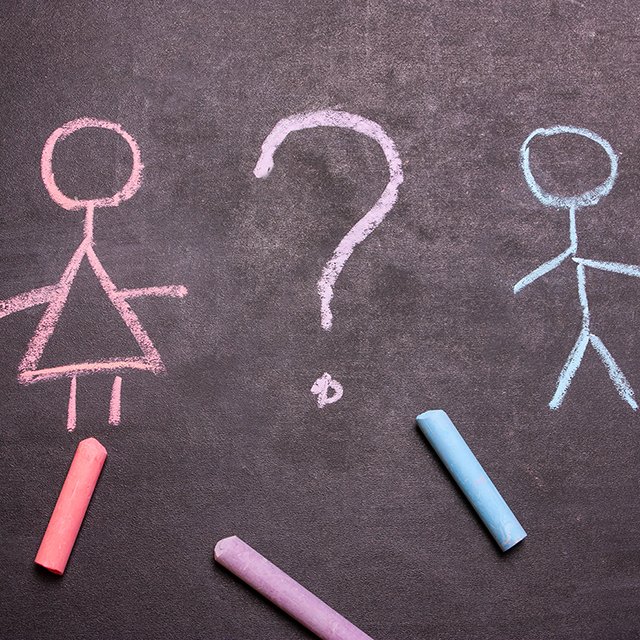 Откуда берутся гендерные стереотипы в школе и о чём мечтают молодые учителя