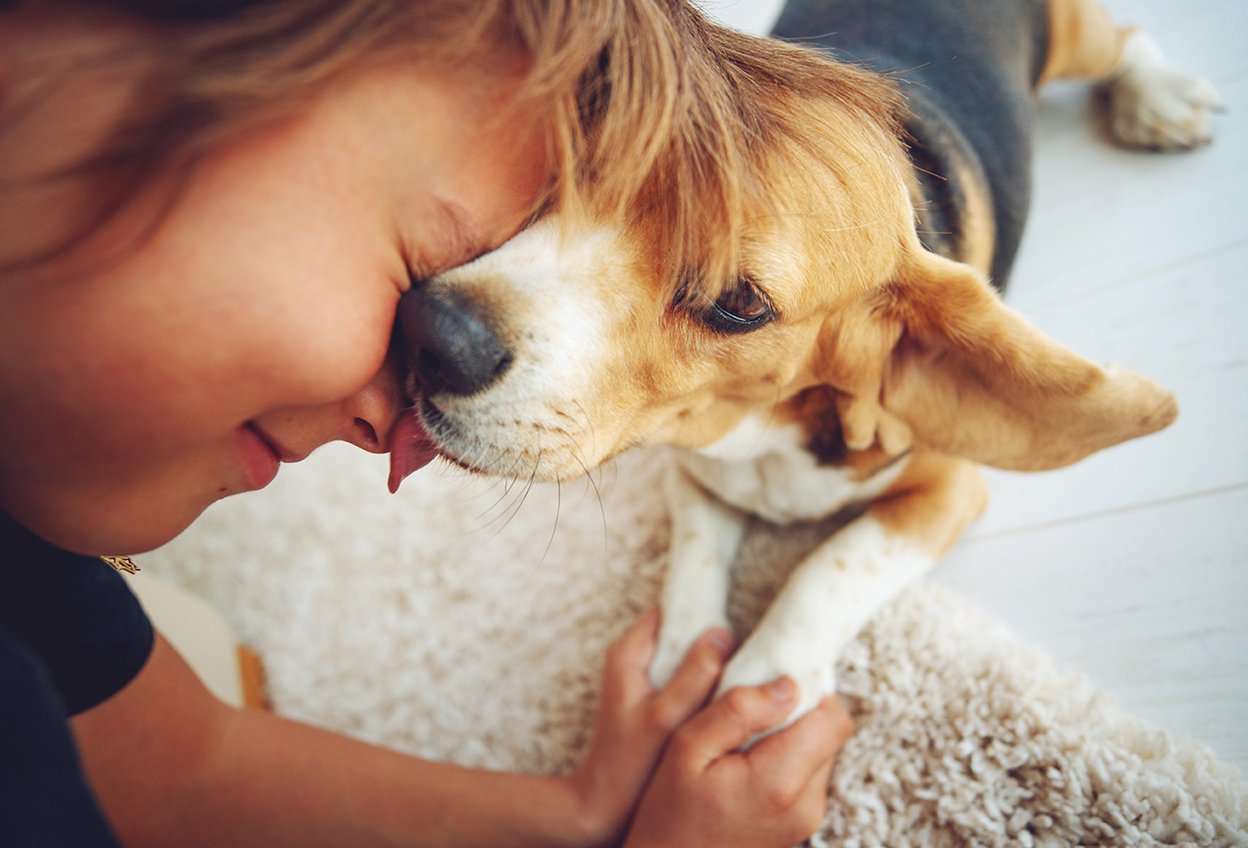 Ребенок с собакой. Ребенок хочет собаку. Бездомные собаки. Приют для животных