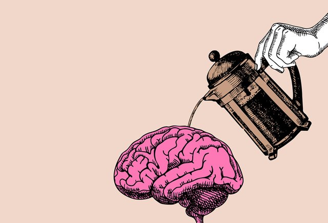 Бариста — это он или она? А тюль? Тест на знание рода заимствованных слов