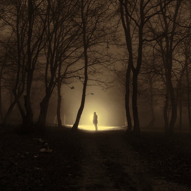 9-летняя Аша Дегри пропала из собственной спальни – её ищут уже 22 года, а мама верит, что дочь вернется