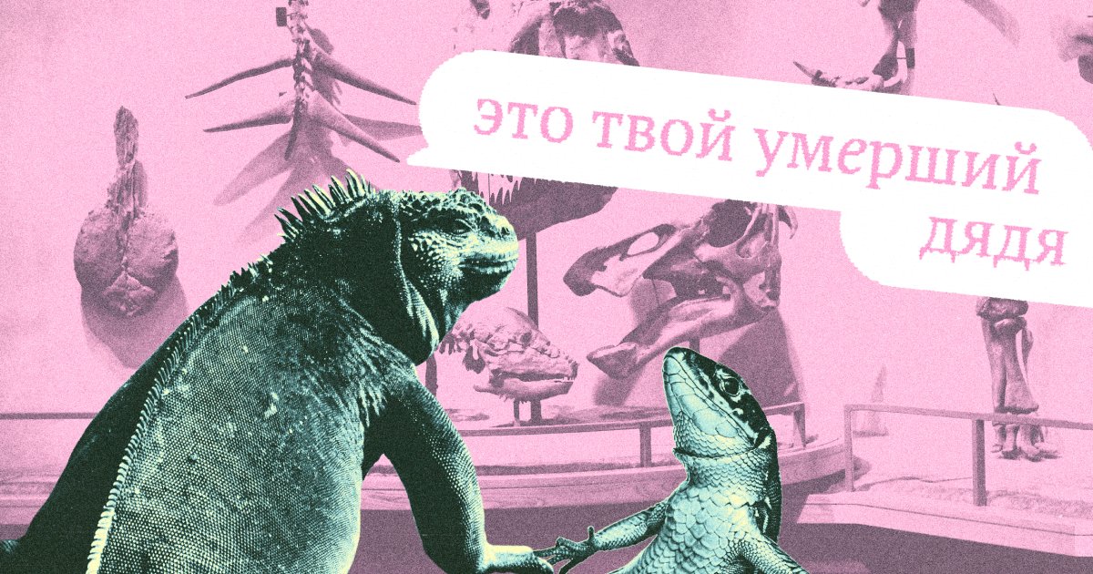 «У́мерший» или «уме́рший»? Как говорить правильно