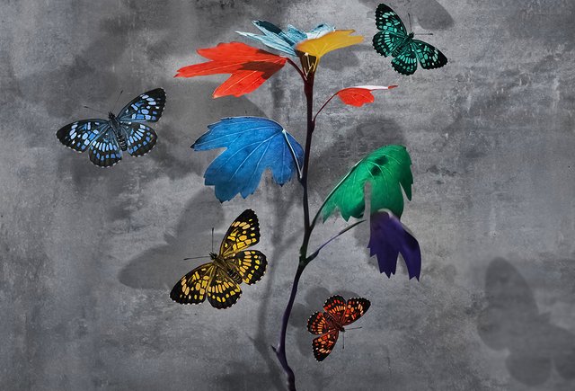 Ребенку диагностировали РАС. Что будет дальше? 8 вопросов детскому психиатру