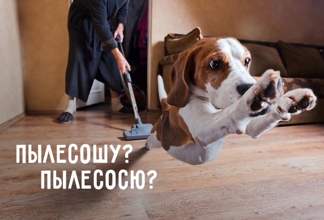 Как правильно: пылесошу или пылесосю