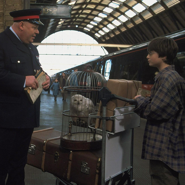 3 главных навыка самостоятельной жизни, которым нужно научить ребёнка