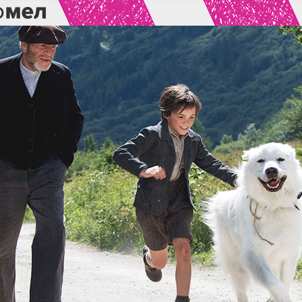 7 фильмов, после которых вы не сможете представить свою семью без собаки