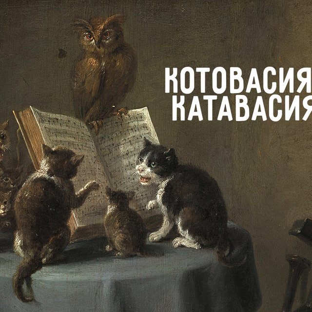 Как правильно: «котовасия» или «катавасия» (и при чём тут коты)