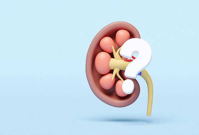 Кортизол — почему про него пишут все блогеры и правда ли надо его снижать