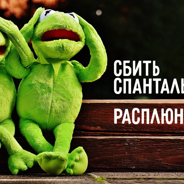 «Скрипя сердцем» и ещё 10 фразеологизмов, которые мы произносим неправильно