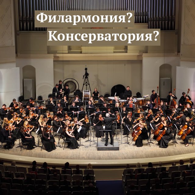 Филармония и консерватория: в чём разница (а она существенная)