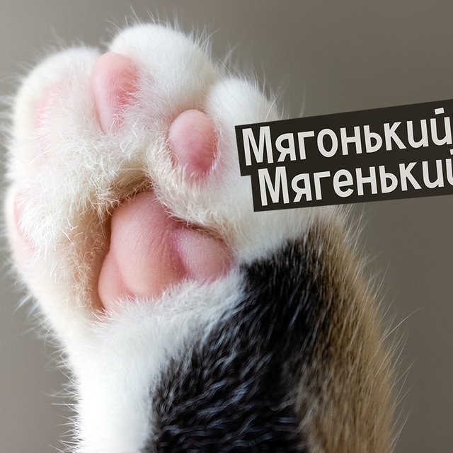 «Мягенький» или «мягонький»: как писать правильно