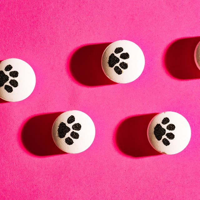 Таблетки для собак с маркетплейсов: зачем их пьют подростки и чем опасен габапентин