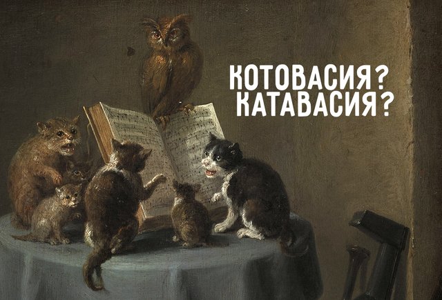 Как правильно: «котовасия» или «катавасия» (и при чём тут коты)