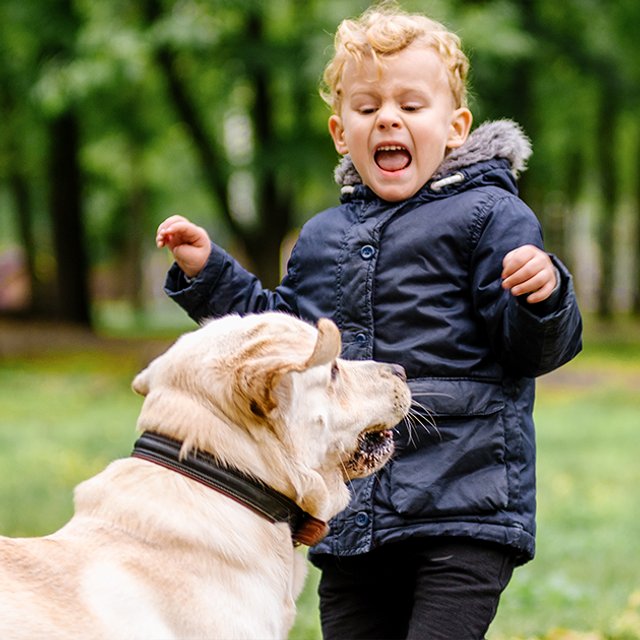 Купила щенка по объявлению и выбросила с балкона: откуда у детей жестокость к животным и что с этим делать
