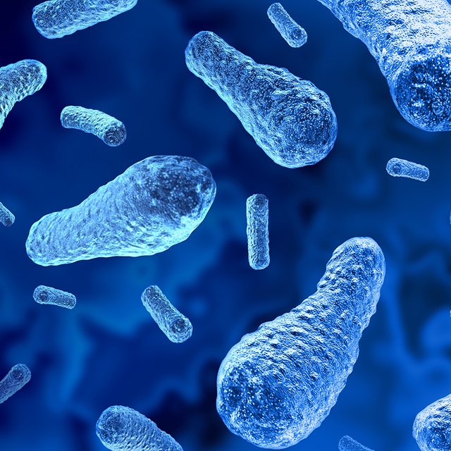 Что такое ботулизм, как он проявляется у детей и кто в группе риска