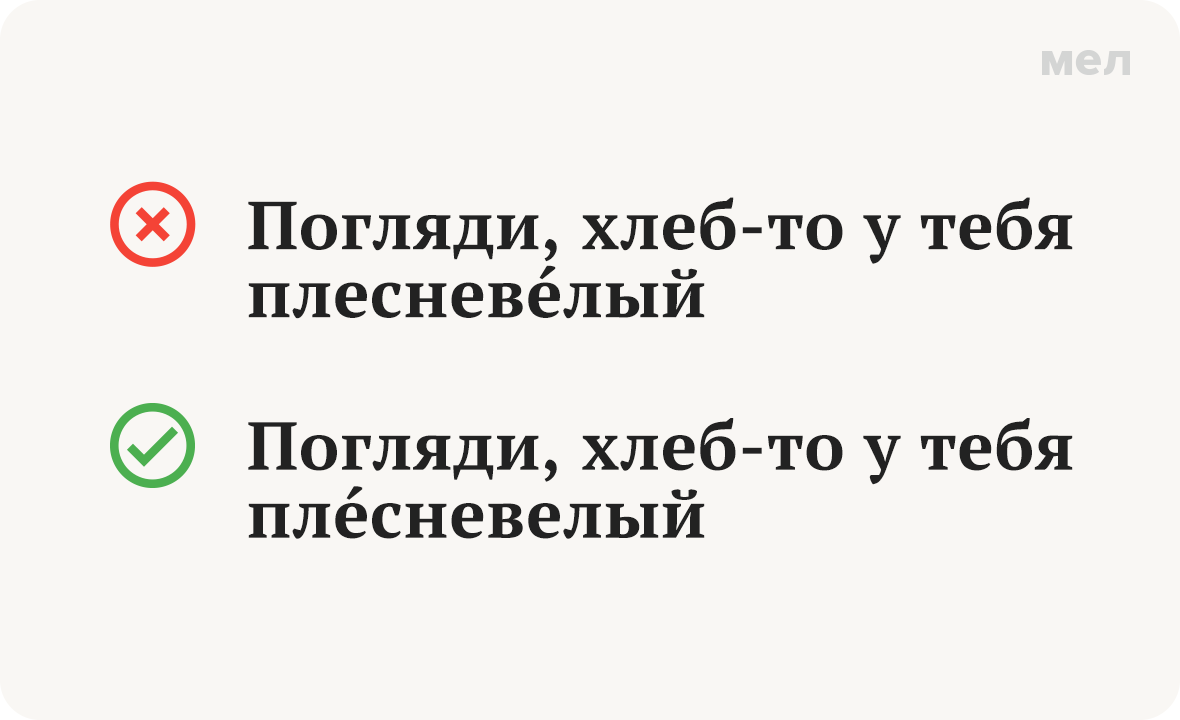 грамотность плесневелый хлеб