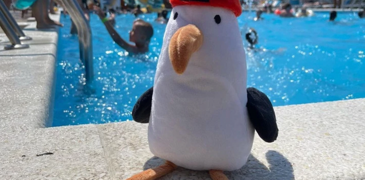 5-летняя девочка забыла свою игрушку — чайку Кусто в отеле в Анапе: игрушка живёт свою лучшую жизнь