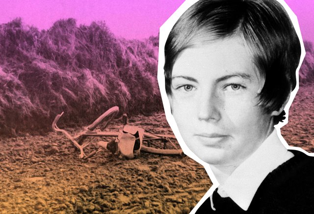 Куда исчезла Эйприл Фабб? Школьница пропала за 7 минут, её ищут уже 52 года, но в деле — ни одной улики