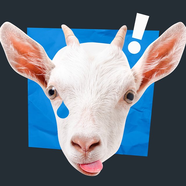 7 версий происхождения фразы «драть как сидорову козу»