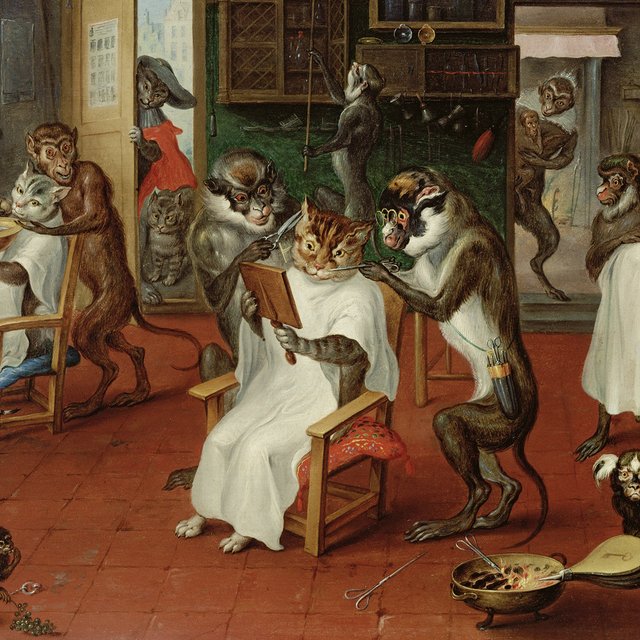 Пасик Бродского или один из свиты Ришелье. Тест: чей вы кот?