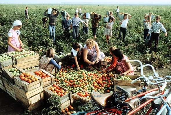 «Слезы капали прямо в клей». Как проходила летняя практика в школах — истории из 1960-х и до наших дней