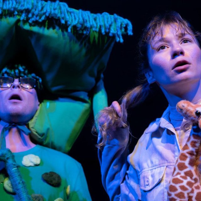 Посетить тайный сад Тони Редискиной, пересмотреть Миядзаки и еще 15 причин выйти из дома в ноябре