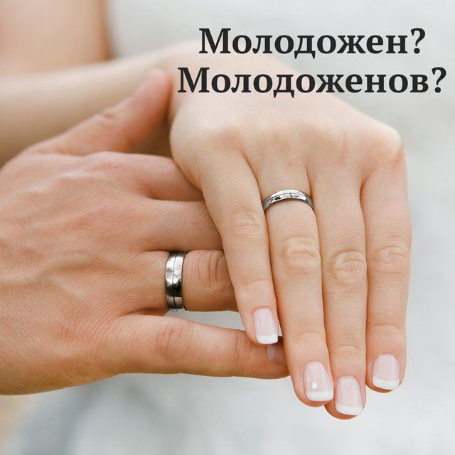 Поздравлять «молодожён» или «молодожёнов»? Как говорить и писать правильно