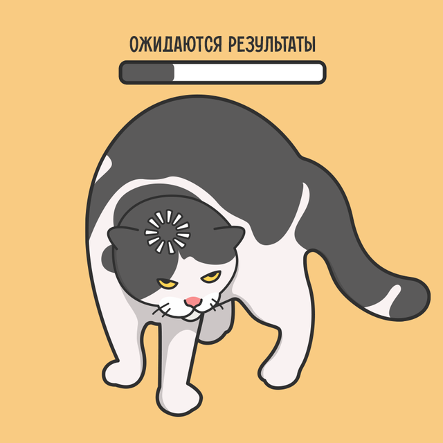 Подаю документы в вуз через «Госуслуги»: что значит статус «ожидаются результаты испытаний»?