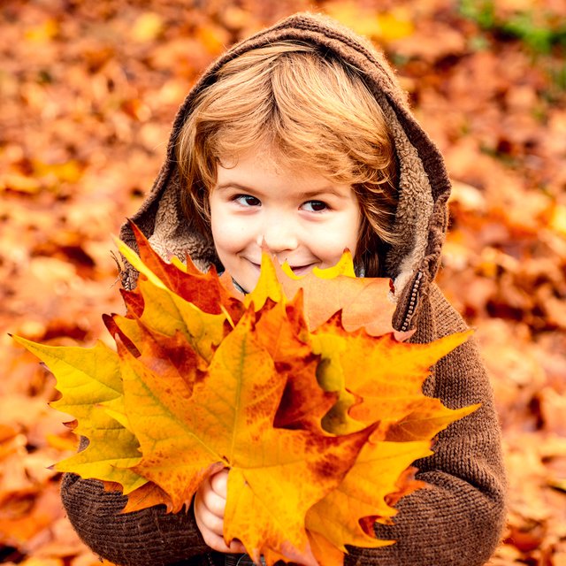 10 идей для осенних выходных с детьми: будет много листьев, творчества и фантазий
