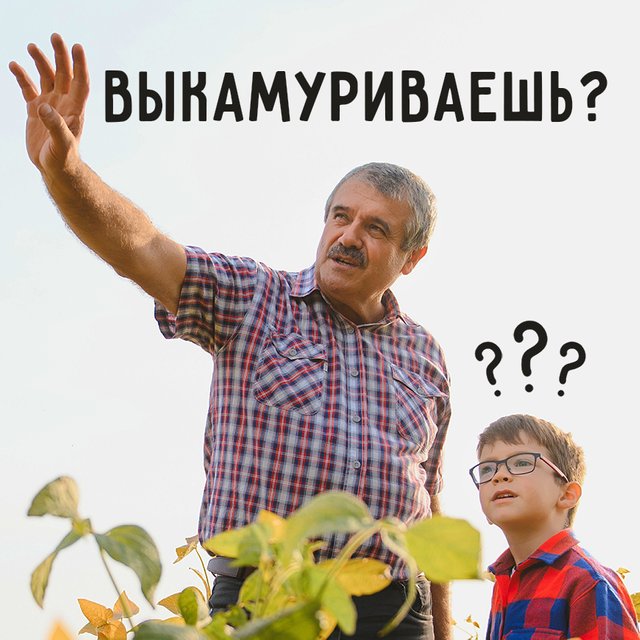 Что такое «выкамуривать»? Сложный тест на знание просторечий