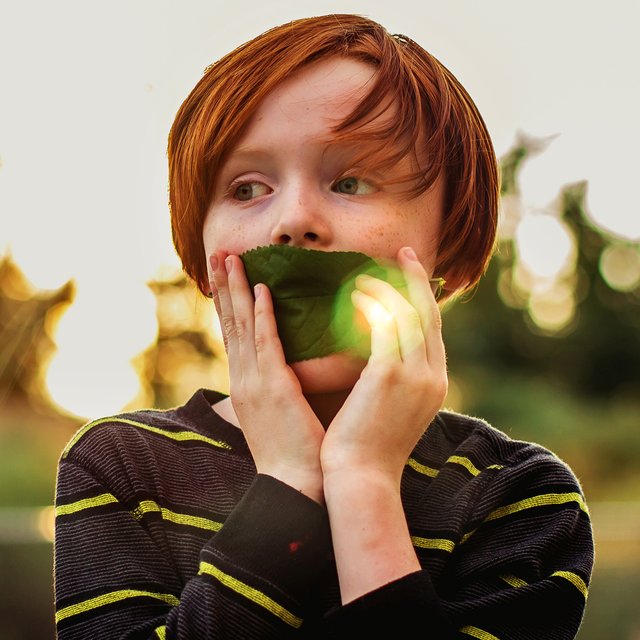 У ребенка нарушение речи, обязан ли школьный логопед с ним заниматься?