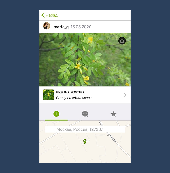 Программа распознавания растений по фото для андроид