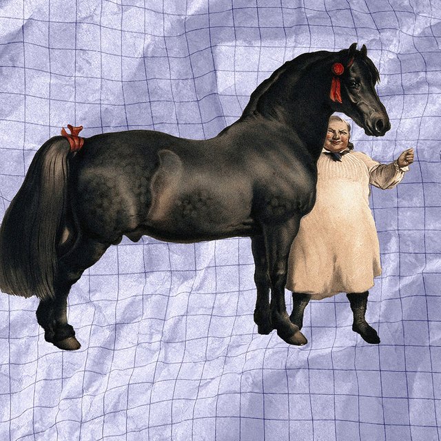 Кто такой «жлоб» и откуда взялось это слово