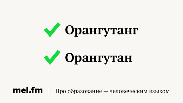 слова в которых хочется написать лишнюю букву а нельзя. Смотреть фото слова в которых хочется написать лишнюю букву а нельзя. Смотреть картинку слова в которых хочется написать лишнюю букву а нельзя. Картинка про слова в которых хочется написать лишнюю букву а нельзя. Фото слова в которых хочется написать лишнюю букву а нельзя