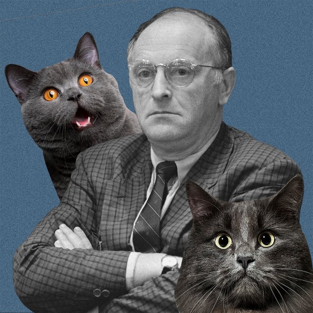 Тунеядец или любитель котиков? Тест: какой вы Бродский