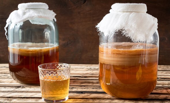 Чайный гриб. Чем полезны и могут ли быть опасны биодобавки с грибами