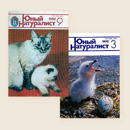 Как живёт журнал «Юный натуралист»: ему почти 100 лет, в нем нет рекламы, а редакция состоит из 4 человек