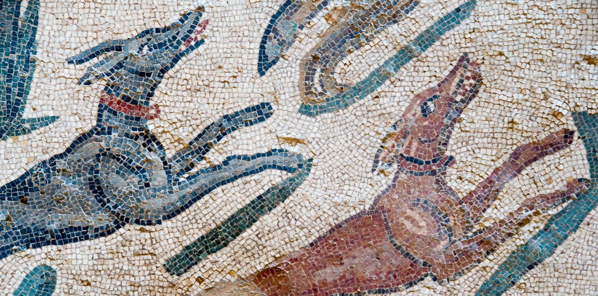 А вы знаете, что «каникулы» — это «собачьи дни»?