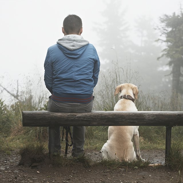 «Кошку легко могли забить камнями». Бывший воспитанник детского дома — о жестокости и любви к животным