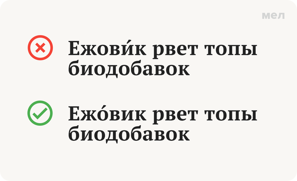 «ЕжОвик гребенчатый» или «ежовИк»: как говорить правильно