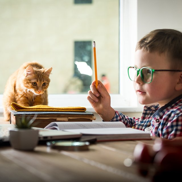 «Мы оказались не готовы к переходу на обучение онлайн»