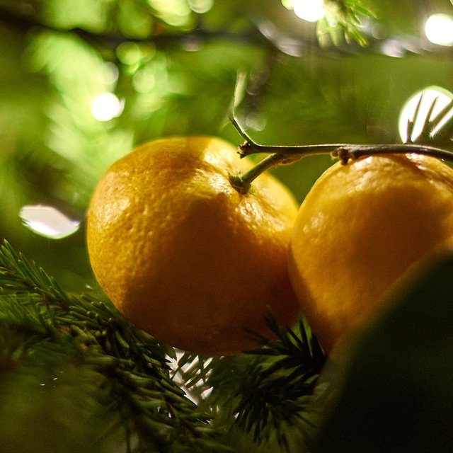 Как мандарины, карамельная трость, венок и носки с подарками стали символами Нового года и Рождества