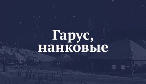 Что такое жупан у гоголя. Смотреть фото Что такое жупан у гоголя. Смотреть картинку Что такое жупан у гоголя. Картинка про Что такое жупан у гоголя. Фото Что такое жупан у гоголя